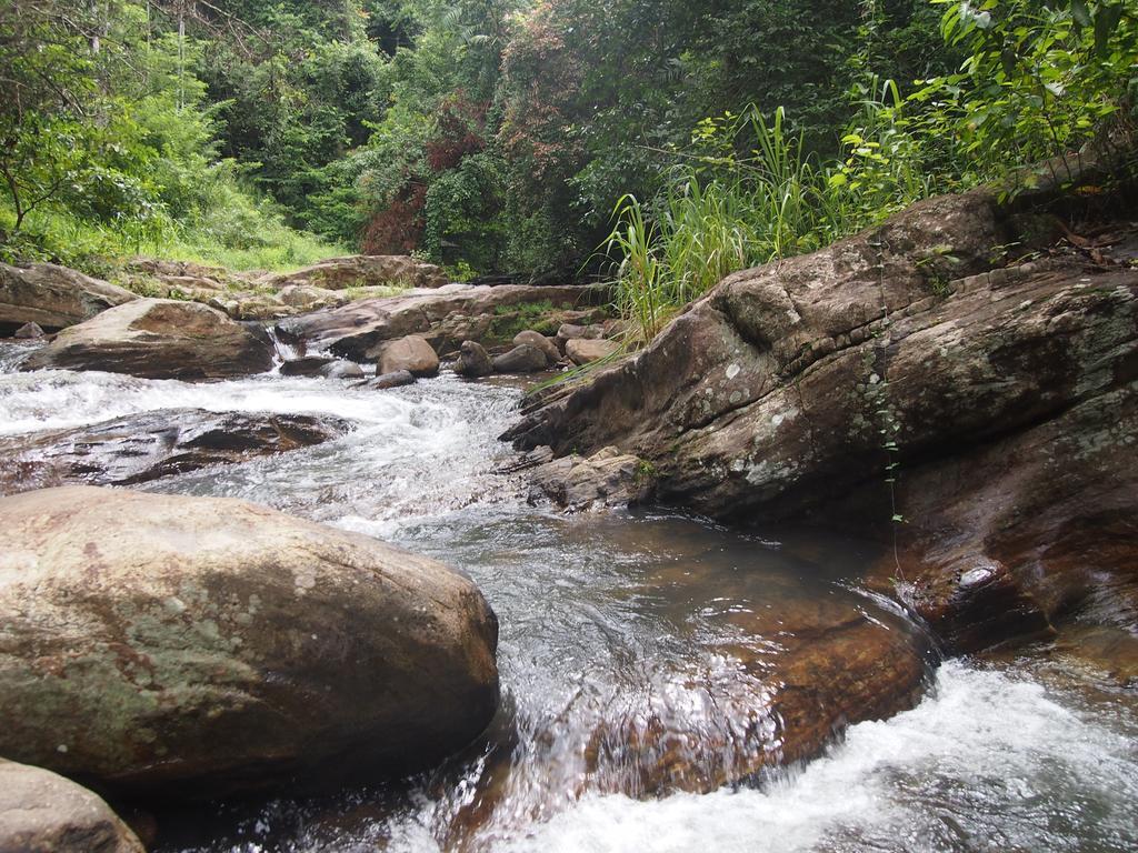 The Kandy Samadhicentre Narampanawa Dış mekan fotoğraf